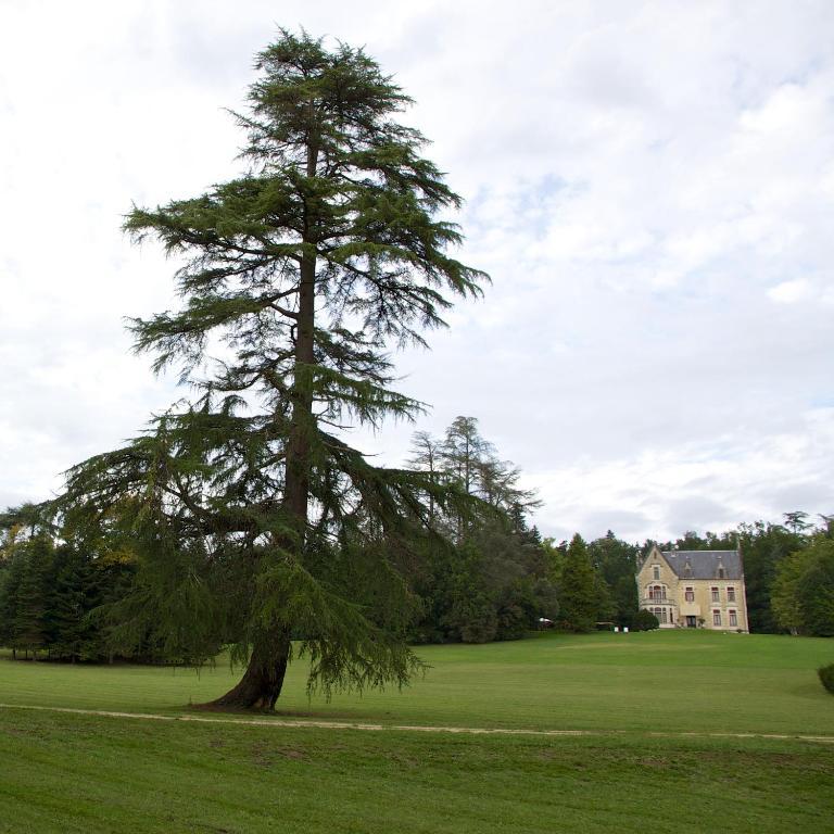 Chateau La Thuiliere Saint-Front-de-Pradoux Exterior foto